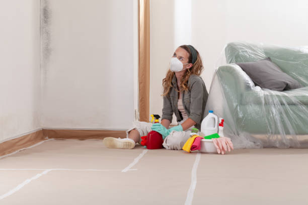 Mold Remediation service in Marion, Marion, NC